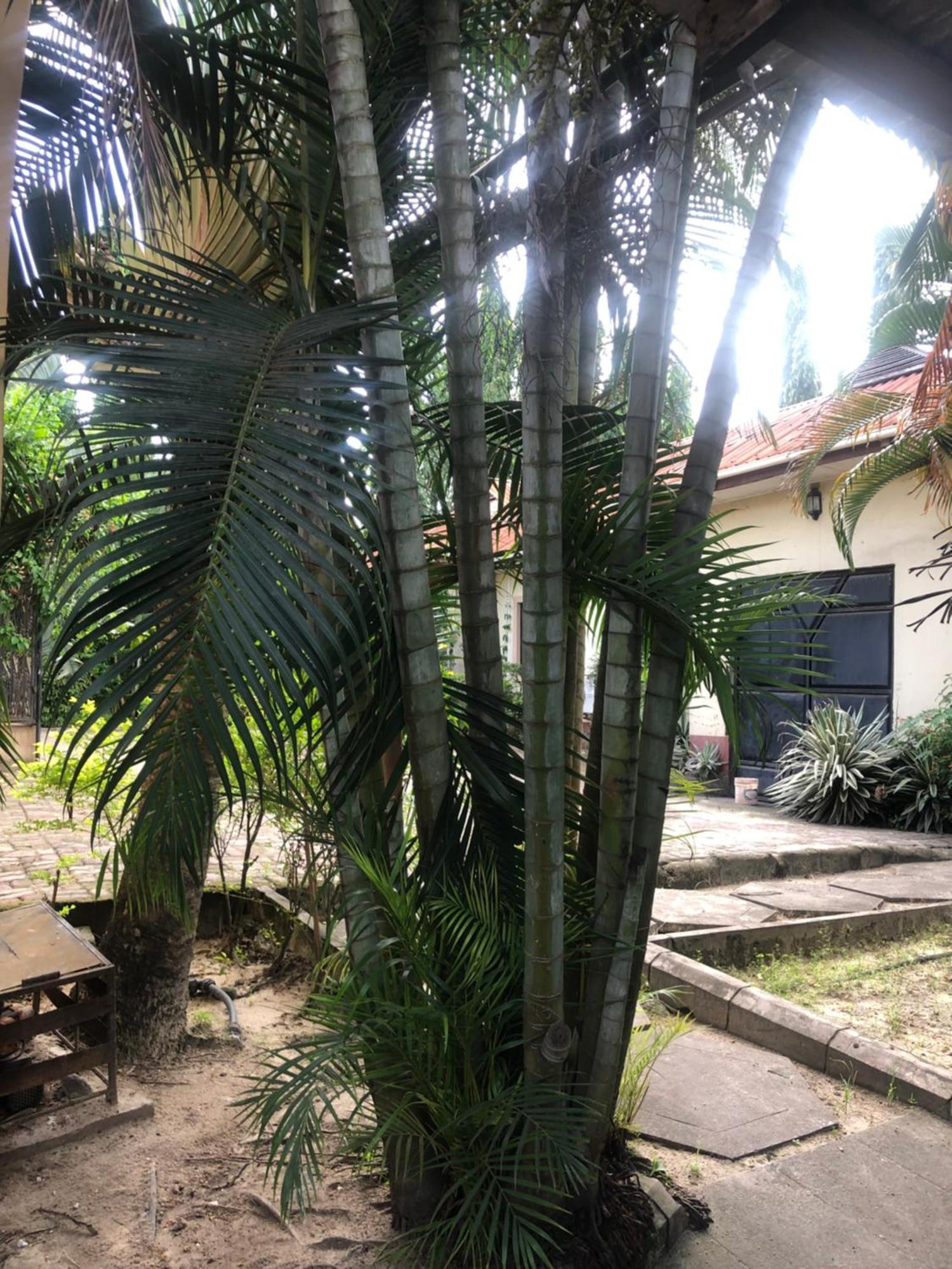 Tatys Homestay Dar es Salaam Exterior foto